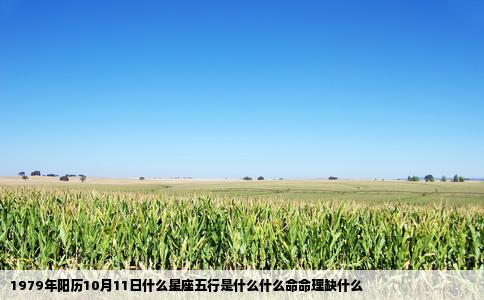 1979年阳历10月11日什么星座五行是什么什么命命理缺什么