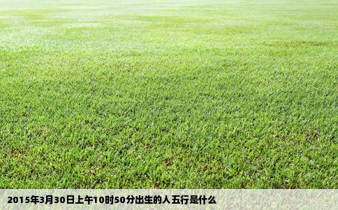 2015年3月30日上午10时50分出生的人五行是什么