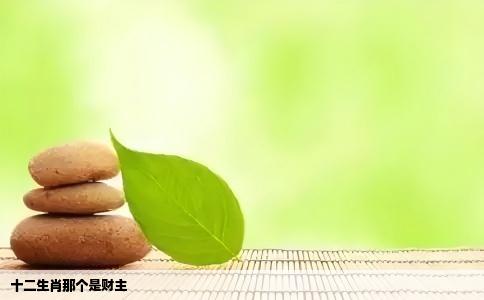 十二生肖那个是财主