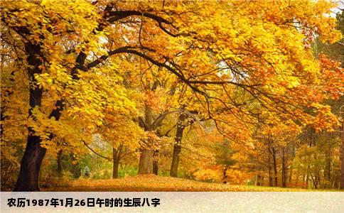 农历1987年1月26日午时的生辰八字