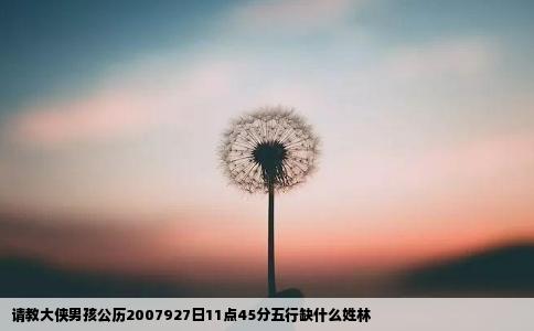 请教大侠男孩公历2007927日11点45分五行缺什么姓林