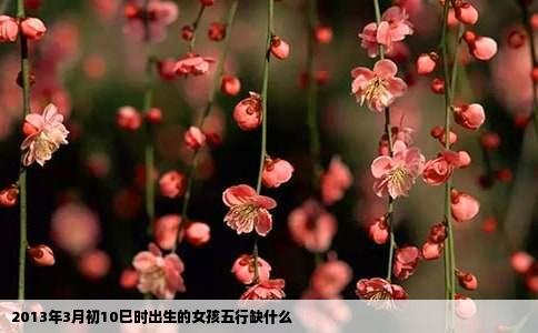 2013年3月初10巳时出生的女孩五行缺什么