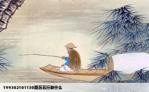 199302101130阴历五行缺什么