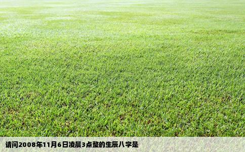 请问2008年11月6日凌晨3点整的生辰八字是