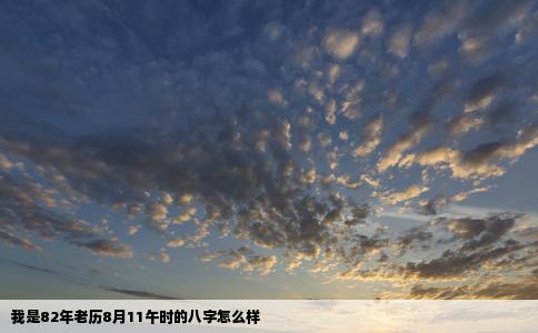 我是82年老历8月11午时的八字怎么样
