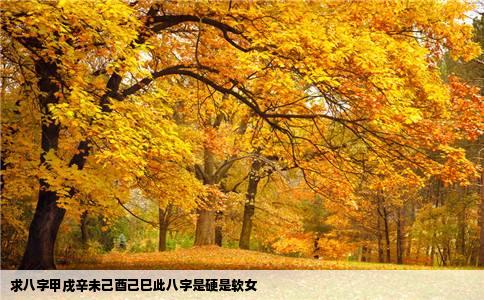 求八字甲戌辛未己酉己巳此八字是硬是软女