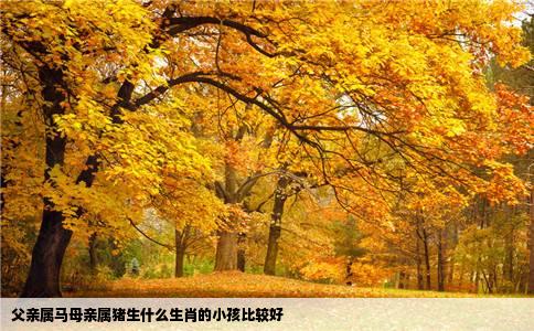 父亲属马母亲属猪生什么生肖的小孩比较好