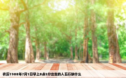 农历1988年7月1日早上8点5分出生的人五行缺什么