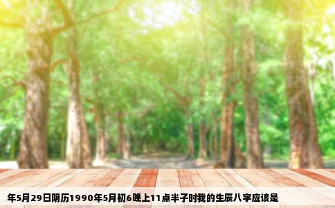 年5月29日阴历1990年5月初6晚上11点半子时我的生辰八字应该是