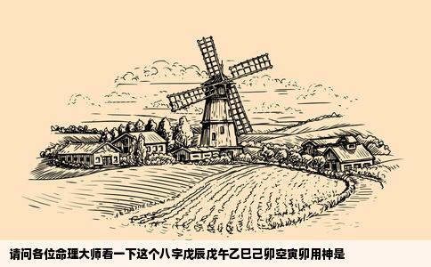 请问各位命理大师看一下这个八字戊辰戊午乙巳己卯空寅卯用神是