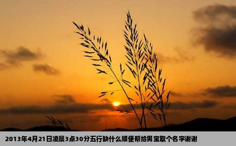 2013年4月21日凌晨3点30分五行缺什么顺便帮给男宝取个名字谢谢