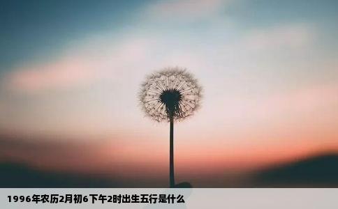 1996年农历2月初6下午2时出生五行是什么