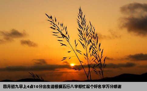 四月初九早上4点10分出生请根椐五行八字帮忙起个好名字万分感谢