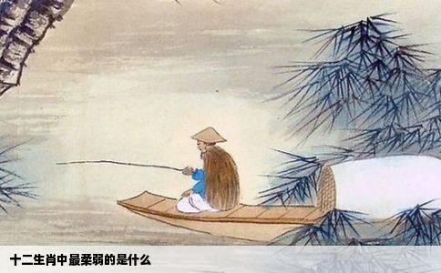 十二生肖中最柔弱的是什么