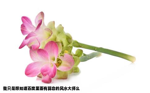 我只是想知道百度里面有算命的风水大师么