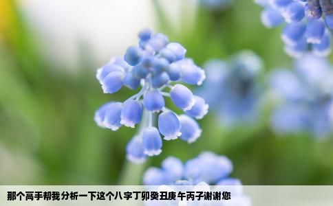 那个高手帮我分析一下这个八字丁卯癸丑庚午丙子谢谢您