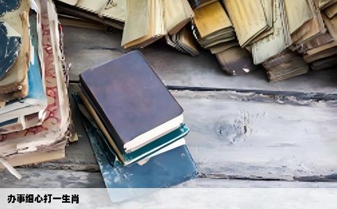 办事细心打一生肖