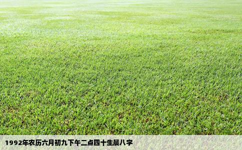 1992年农历六月初九下午二点四十生晨八字