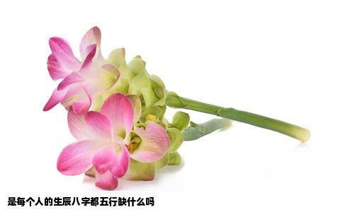 是每个人的生辰八字都五行缺什么吗