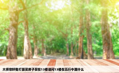 大师您好我打算买房子买在13楼请问13楼在五行中属什么