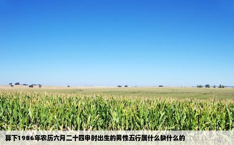 算下1986年农历六月二十四申时出生的男性五行属什么缺什么的