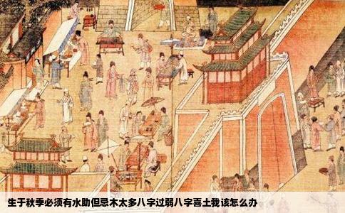 生于秋季必须有水助但忌木太多八字过弱八字喜土我该怎么办