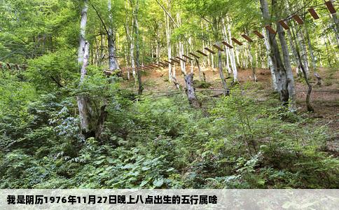 我是阴历1976年11月27日晚上八点出生的五行属啥