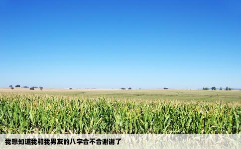 我想知道我和我男友的八字合不合谢谢了