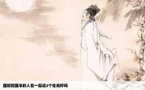 属蛇和属羊的人在一起这2个生肖好吗