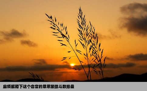麻烦解释下这个命宫的意思紫微斗数排盘