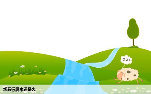 旭五行属木还是火