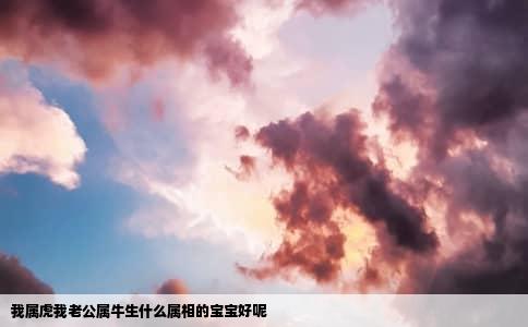我属虎我老公属牛生什么属相的宝宝好呢