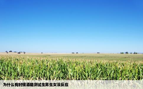 为什么有时候酒精测试生男生女没反应