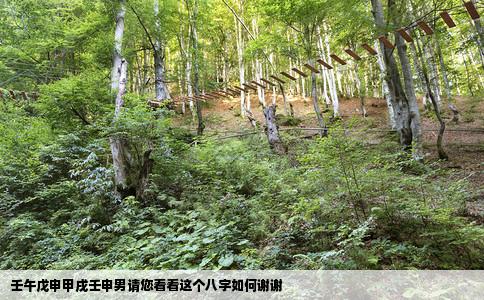壬午戊申甲戌壬申男请您看看这个八字如何谢谢