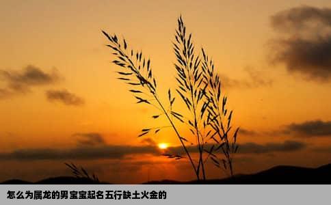怎么为属龙的男宝宝起名五行缺土火金的