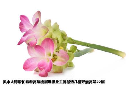风水大师帮忙看看高层楼层选择业主属猴选几楼好最高是22层