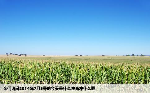 亲们请问2014年7月5号的今天是什么生肖冲什么呢