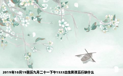 2019年10月19阴历九月二十一下午1533出生男孩五行缺什么
