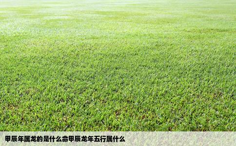 甲辰年属龙的是什么命甲辰龙年五行属什么