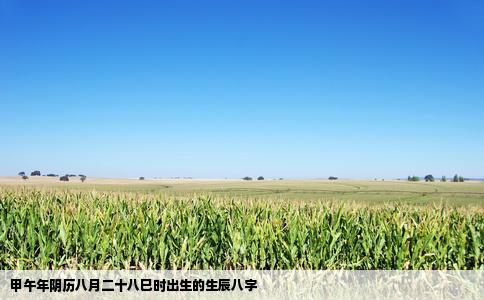 甲午年阴历八月二十八巳时出生的生辰八字