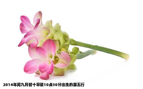 2014年闰九月初十早晨10点30分出生的算五行