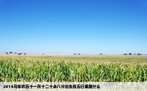 2014马年农历十一月十二十点八分出生在五行里属什么