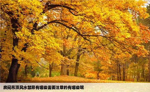 房间吊顶风水禁忌有哪些需要注意的有哪些呢