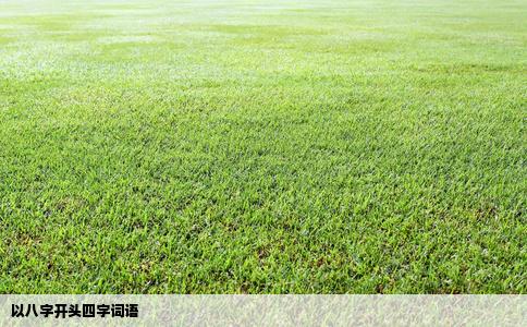 以八字开头四字词语