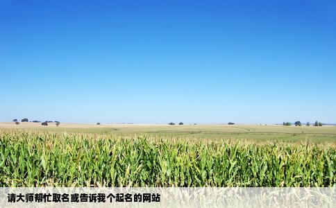 请大师帮忙取名或告诉我个起名的网站