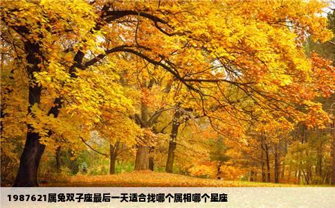 1987621属兔双子座最后一天适合找哪个属相哪个星座