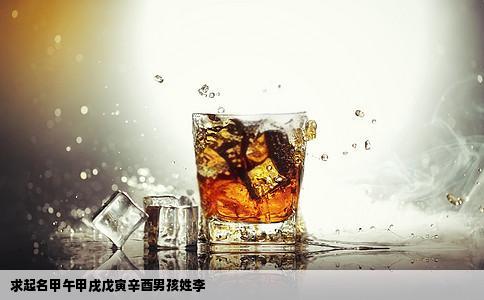 求起名甲午甲戌戊寅辛酉男孩姓李