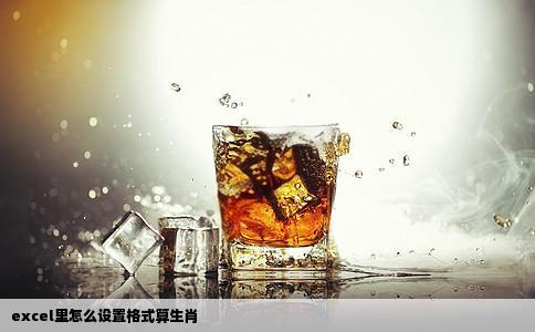 excel里怎么设置格式算生肖
