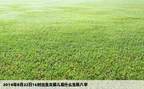 2014年8月22日16时出生女婴儿是什么生辰八字