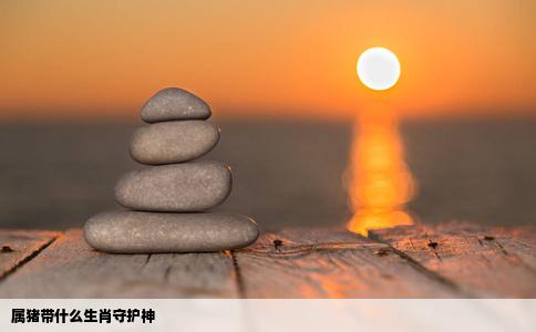 属猪带什么生肖守护神